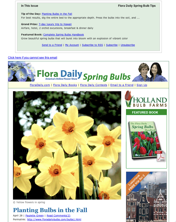 Spring Newsletter Template from www.mequoda.com