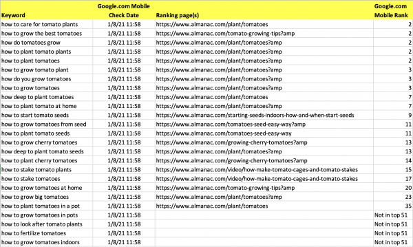 Building a Google Visibility Report Image 