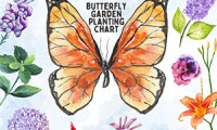 FREE Printable Butterfly Garden Planting Chart