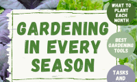 Gardening in Every Season—get FREE access to read this guide right now!