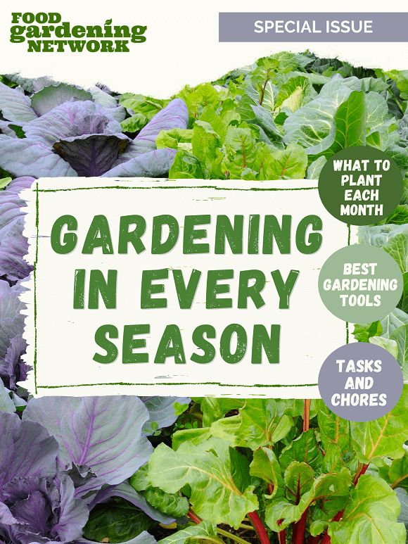 Gardening Every Season