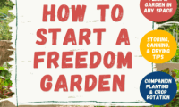 FREE Special Issue Now: How to Start a Freedom Garden