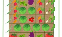 Two Printable Kitchen Garden Planting Charts–get FREE access right now!