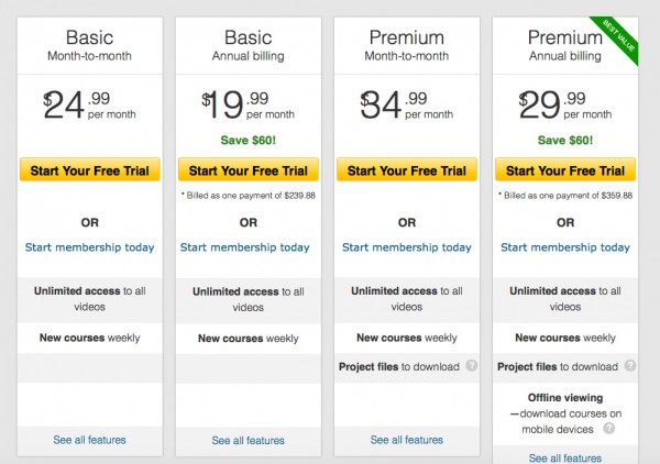 Lynda 2 classroom website business model