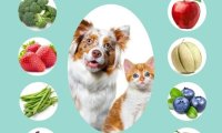 10 Things You Can Grow That Your Pet Will LOVE To Eat!