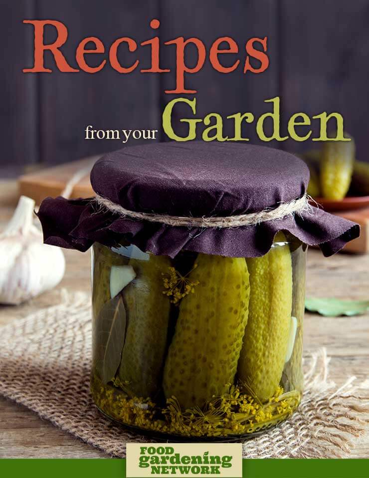 Recipes from Your Garden