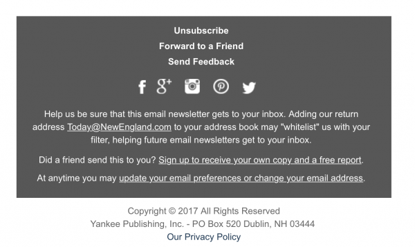 best newsletter examples