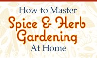Learn How to Master Spice and Herb Gardening at Home