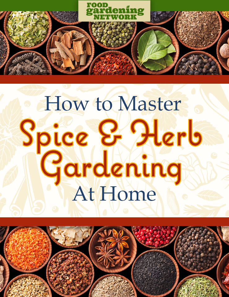 Spice and Herb Gardening
