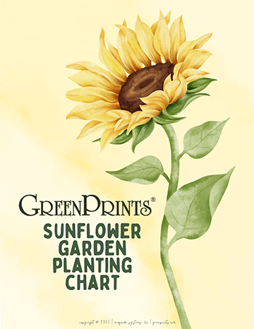 Printable Sunflower Garden Planting Chart–get FREE access right now!