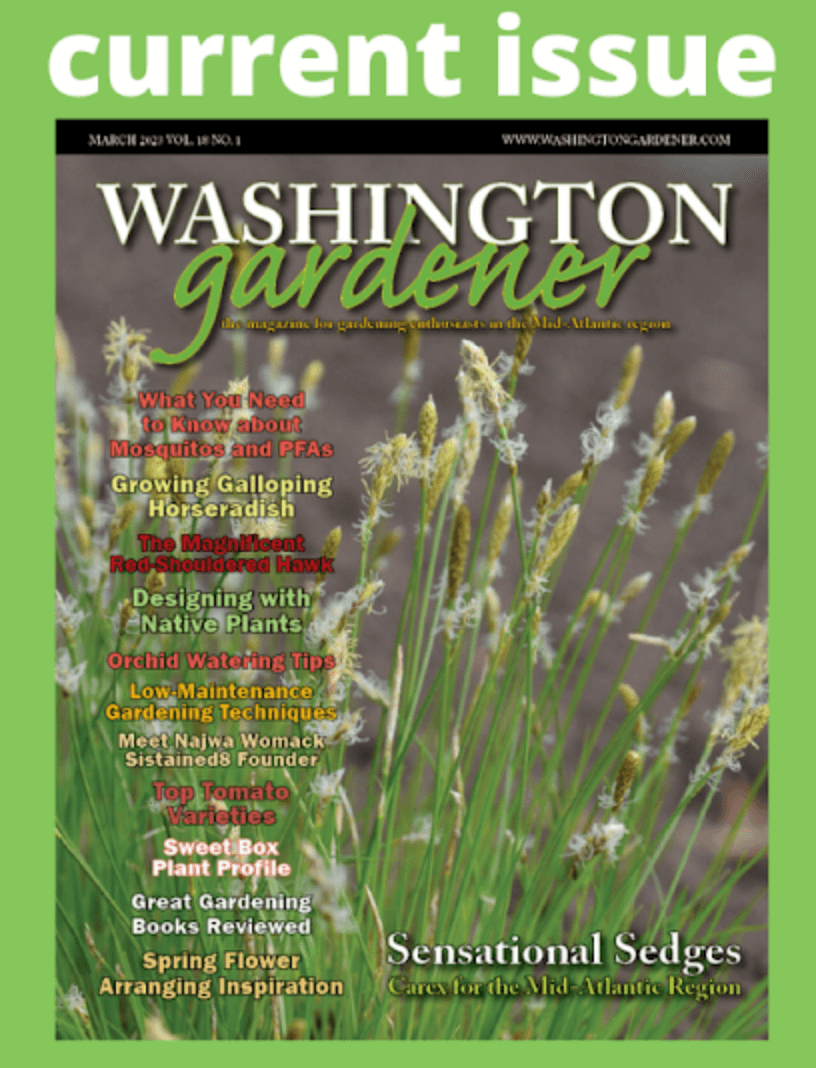 Washington Gardener