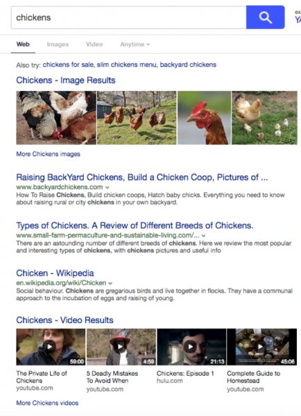 chickens_Google