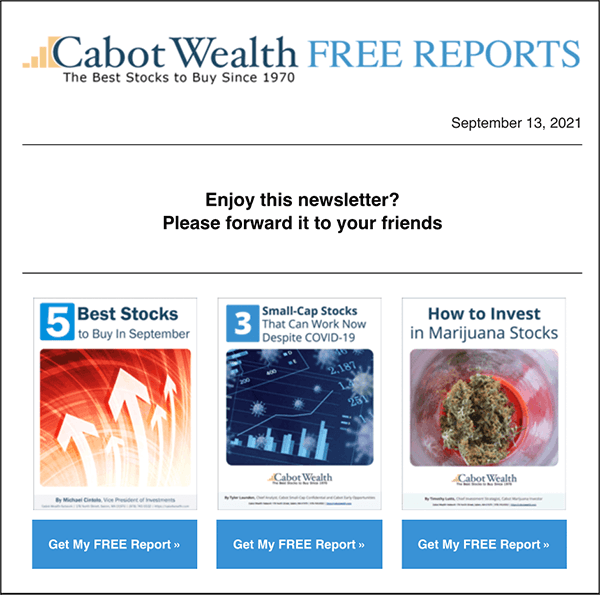 CWN Multi Report