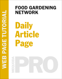 In-Depth Tutorial: Daily Article Page