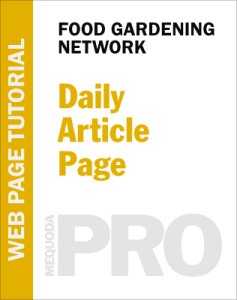 FGN Daily Article Page Tutorial
