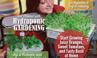 Food Gardening Magazine Publishes Guide to Hydroponic Gardening