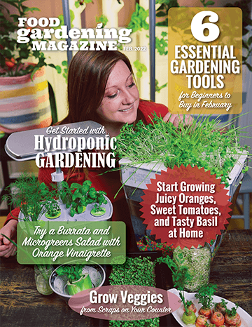 Food Gardening Magazine Publishes Guide to Hydroponic Gardening