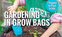 Food Gardening Magazine Publishes July Gardening Grow Bags Issue