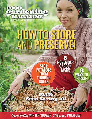 Food Gardening Magazine November Cover