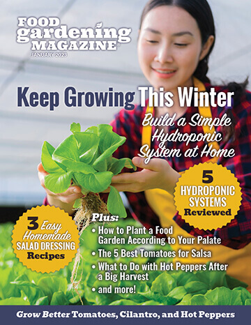 It’s Winter Gardening Season with Food Gardening Network – No Matter Where You Live!