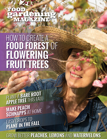 August Food Gardening Network is a FRUIT-ful edition!