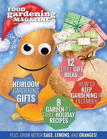 FGN December Issue