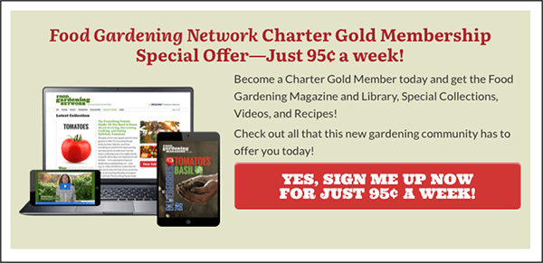Food Gardening Network SLLP OFIE
