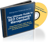 The Ultimate Guide to SEO Campaign Management 2010