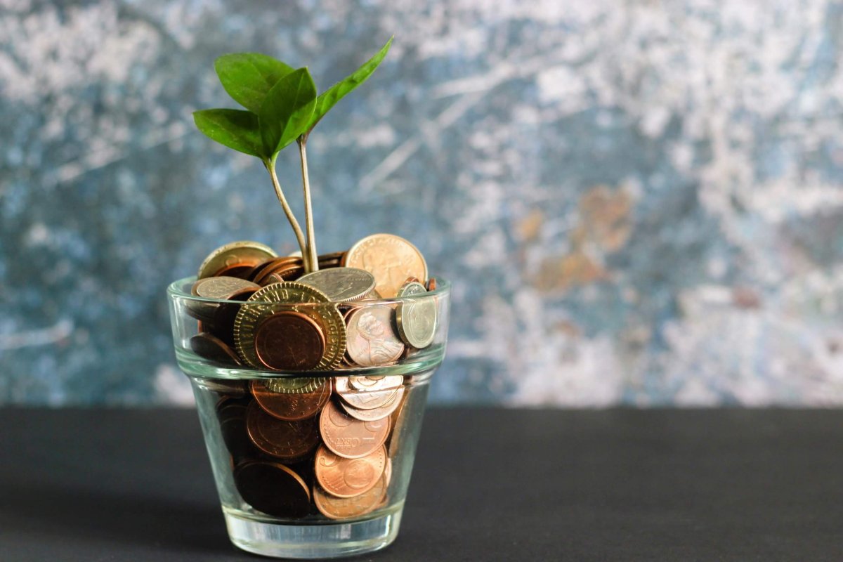SIPA Member Profile: Randy Coon from The Motley Fool