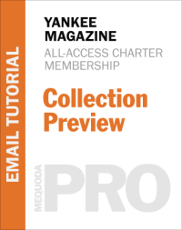 In-Depth Tutorial: Collection Preview Email Newsletter Framework